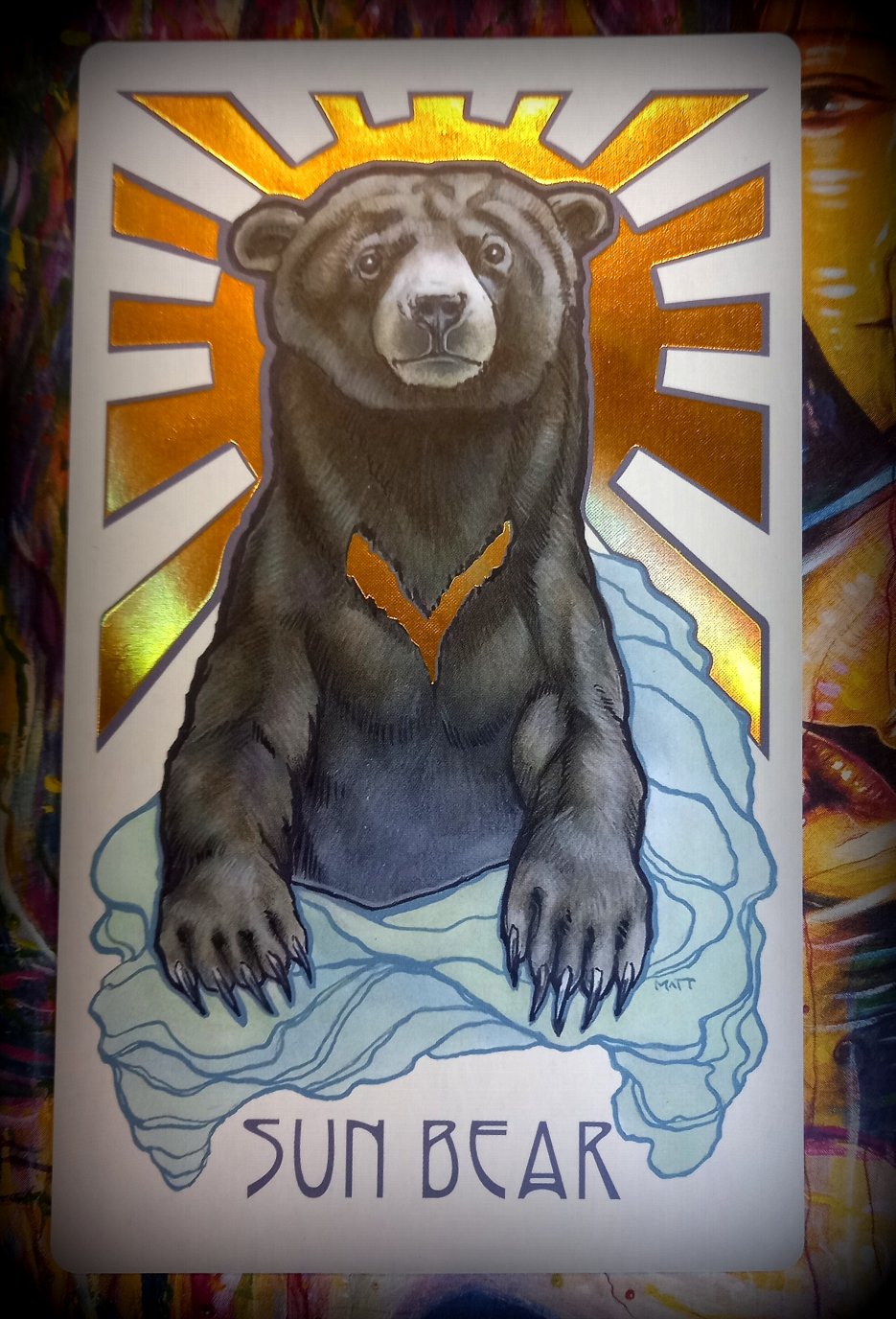 SunBear