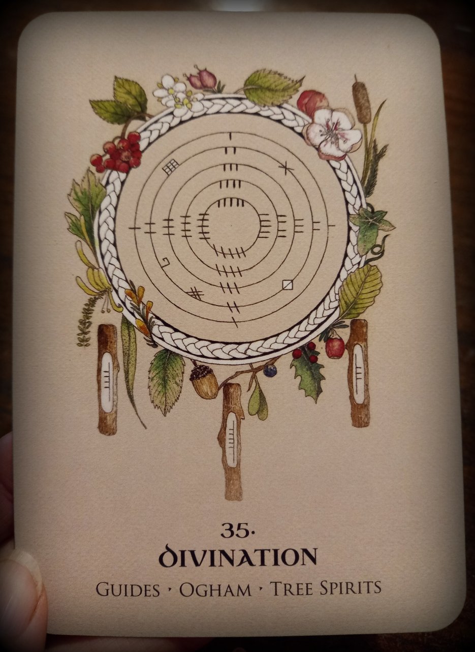 Divination