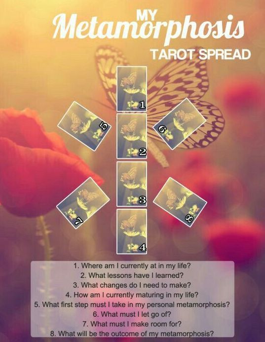 32b804bd19ee1c8b6fb06085e6094f5d