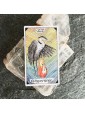 The Wild Unknown Tarot Deck by Kim Krans