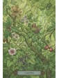 Forest of Enchantment Oracle by Lunaea Weatherstone & Meraylah Allwood