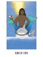 Secrets of Paradise Tarot : An 81-Card Deck & Guidebook Inspired by Caribbean & Latin American Culture & Mysticism by Leticia Ferrer-rivera