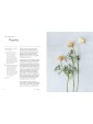 The Healing Power of Flowers by Claire Bowen & Eva Nemeth 