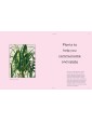 The Healing Power of Plants by Fran Bailey
