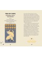 Wild Earth Tarot by Coni Curi