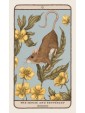 Woodland Wardens : A 52-Card Oracle Deck & Guidebook by Jessica Roux