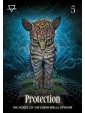 Shamanic Oracle by Magali Tamani & Luis Tamani