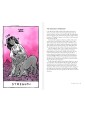 Second-hand Magickal Tarot by Robyn Valentine