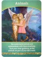 OOP Life Purpose Oracle Cards by Doreen Virtue