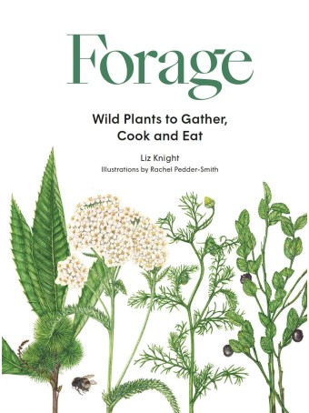 Forage : Wild plants to gather and eat by Liz Knight & Rachel Pedder-Smith