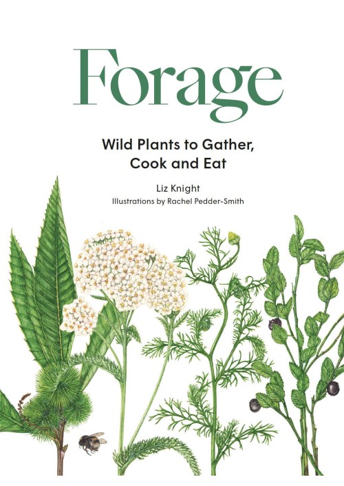 Forage : Wild plants to gather and eat by Liz Knight & Rachel Pedder-Smith