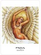 The Goddess Oracle Deck by Amy Sophia Marashinsky