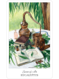The Herbcrafter's Tarot by Latisha Guthrie and Joanna Powell Colbert
