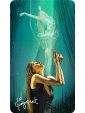 The Light Seer's Tarot by Chris Anne 
