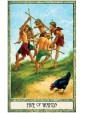 The Druid Craft Tarot by Philip & Stephanie Carr-Gomm, & Will Worthington