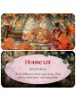 Animal Guides Mini Cards by Jena Dellagrottaglia 