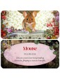 Animal Guides Mini Cards by Jena Dellagrottaglia 