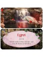 Animal Guides Mini Cards by Jena Dellagrottaglia 