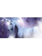 Wishcraft : You are the magic by Stacey Demarco