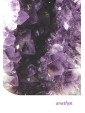 Second-hand Crystal Oracle by Toni Carmine Salerno
