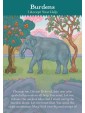 Divine Beloved Oracle Cards : A Deck of 52 Change Me Prayers by Tosha Silver & Lasha Mutual