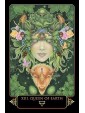 Dreams of Gaia Tarot by Ravynne Phelan 