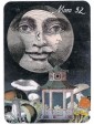 The Lunar Nomad Oracle by Shaheen Miro