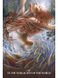 Sacred Rebel Oracle Second Edition by Alana Fairchild 