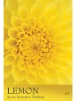 The Secret Language of Colour Cards by Inna Segal
