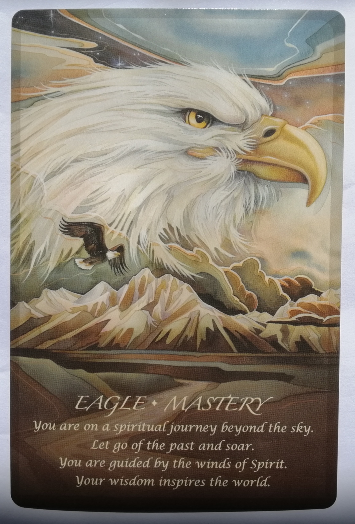 eagle