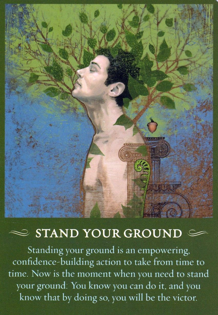 standyourground