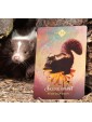 The Spirit Animal Oracle by Colette Baron-Reid 