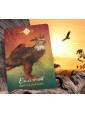 The Spirit Animal Oracle by Colette Baron-Reid 