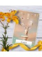 Wisdom of the Oracle Cards by Colette Baron-Reid