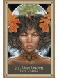 The Wild Witch Oracle by Tess Whitehurst & Tammy Wampler