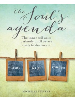 The Soul's Agenda by Michelle Stevens