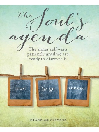 The Soul's Agenda by Michelle Stevens
