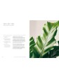 The Healing Power of Plants by Fran Bailey
