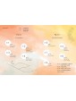 The Healed Empath : The Highly Sensitive Person's Guide to Transforming Trauma and Anxiety, Trusting Your Intuition, and Moving from Overwhelm to Empowerment by Kristen Schwartz