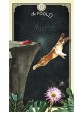 The Tarot of Curious Creatures : A 78 (+1) Card Deck and Guidebook by Chris Anne
