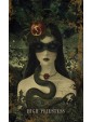 Grim Tales Tarot by Fiona Edgewood