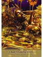 Faces of Oshun Oracle by Abiola Abrams