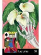 La Santa Muerte Lenormand by Dan M. Pelletier & Callie L. French