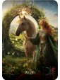 Queen of the Sun Oracle by Stacey Demarco & Kinga Britschgi
