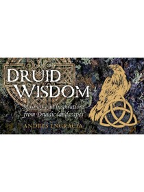 Druid Wisdom : Mini Inspiration Cards by Andres Engracia