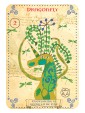 Enchanted Unicorn Oracle :  Voynich Magick by Priestess Moon