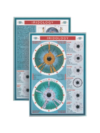 Iridology Mini Chart