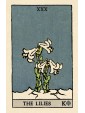 Pixie's Astounding Lenormand by Edmund Zebrowski