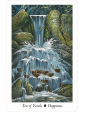 The Wildwood Tarot : Wherein Wisdom Resides by Mark Ryan, John Matthews & Will Worthington 