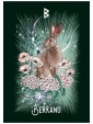 Witch's Familiar Runic Oracle Cards by Athene Noctua